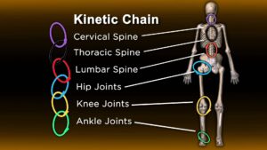 Kinetic Chain